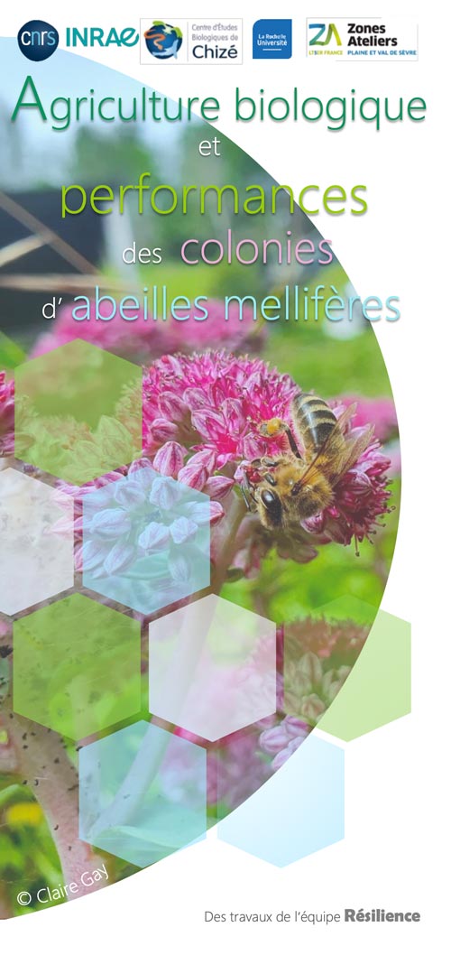 01_Agriculture-biologique-et-performances-des-colonies-d'abeilles-mellifères